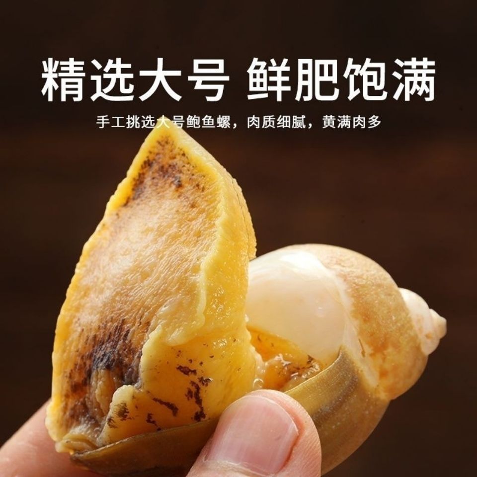 鲍螺老婆脚假鲍鱼鲜活无沙海蜗牛熟冻带壳大脚螺网红新鲜海鲜贝类一斤