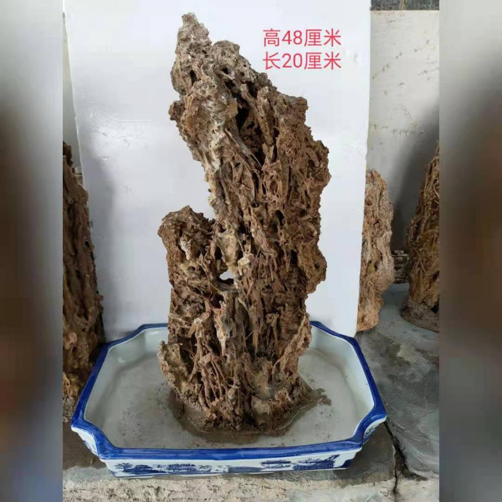 天然蘆管石鐘乳石吸水石原石上水石假山盆景擺件植物化石魚缸造景0119