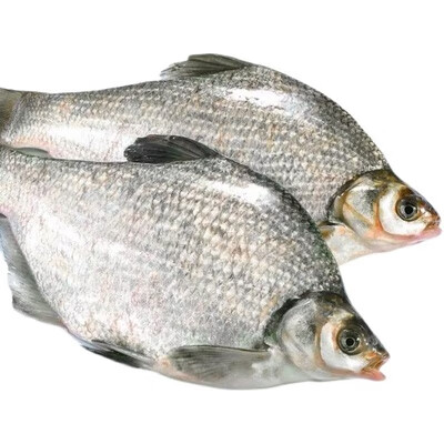 果亦橙现杀新鲜鳊鱼新鲜淡水鲳鱼红烧清蒸生鲜送礼2斤一条装