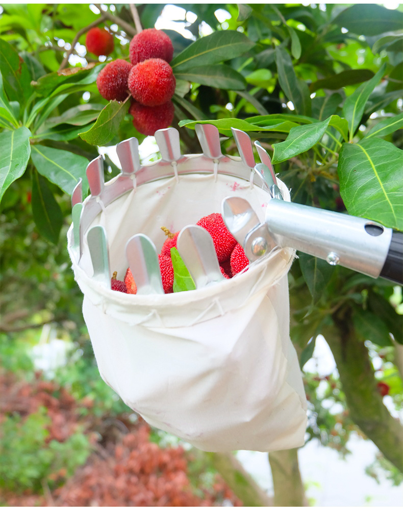 高空摘果器摘水果神器荔枝杏杨梅蓝莓摘果子可伸缩杆采摘果器工具