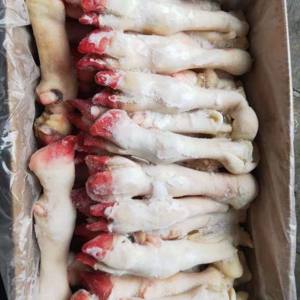 新鲜冷冻羊蹄羊脚净重19斤箱羊肉生羊蹄45个左右烧烤火锅饭店食材山东