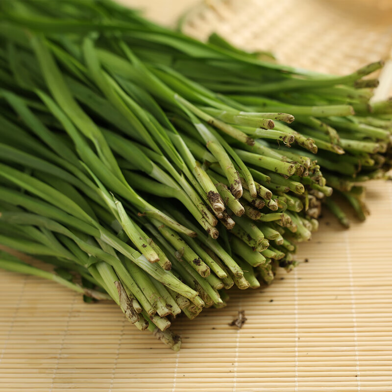 东北新鲜韭菜头茬头刀蔬菜农家露天三鲜馅包饺子现摘割鲜嫩净重5斤现