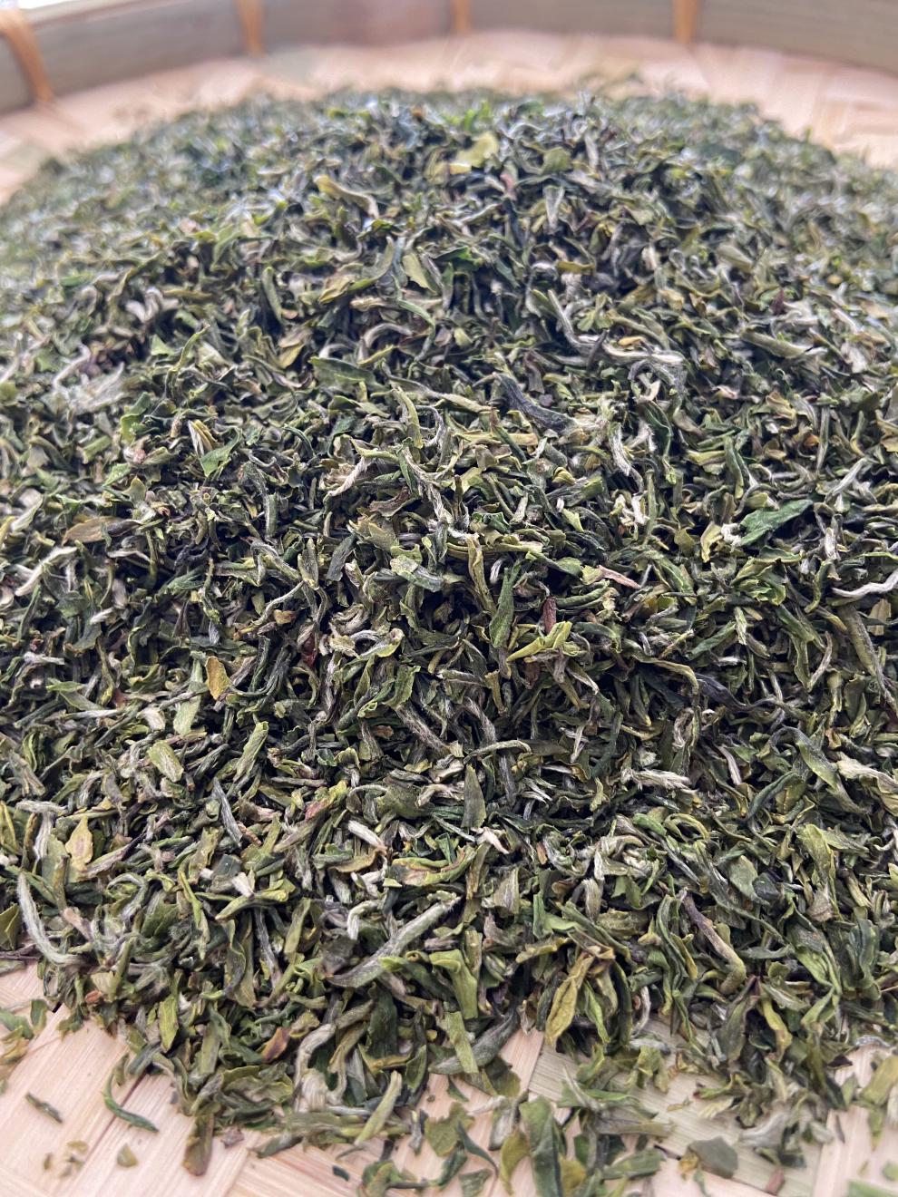 明前绿茶新茶粗茶英山云雾茶毛尖壶泡茶叶沫500g散装碎茶片