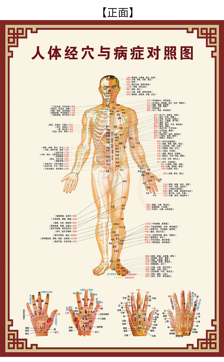 人体穴位图大挂图中医养生十二经络穴位男性针灸艾灸穴位图 女性穴位