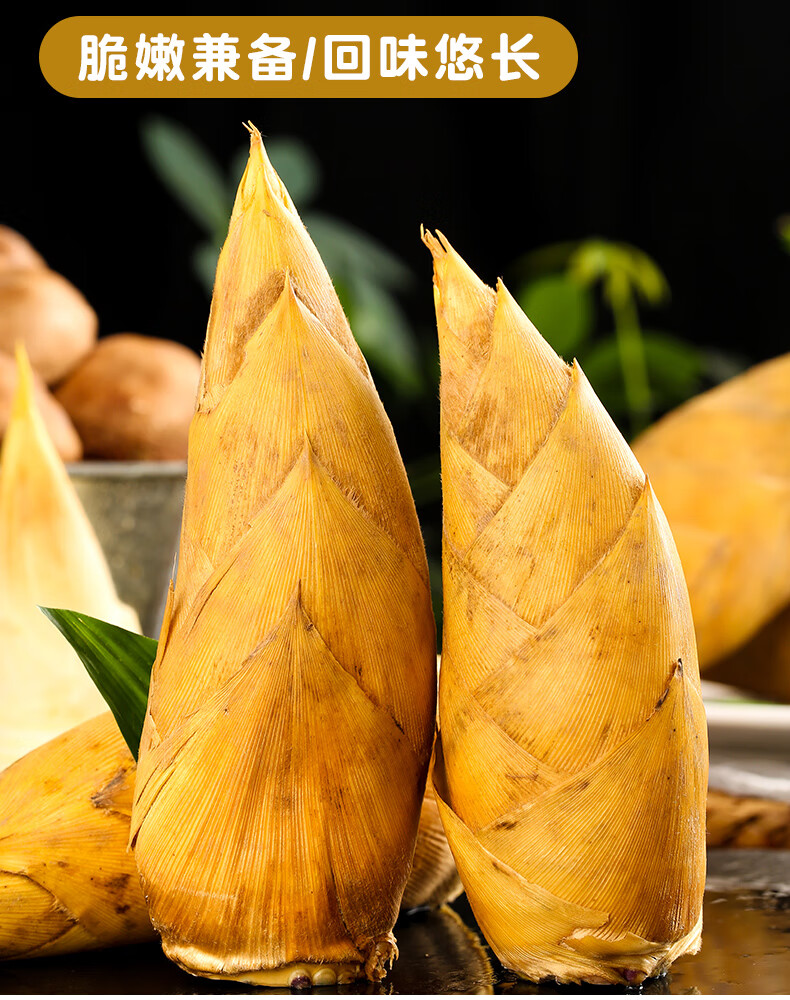 新鲜冬笋2021现挖新鲜冬笋毛竹笋春笋脆野生嫩鲜笋10正宗5斤脆甜嫩鲜