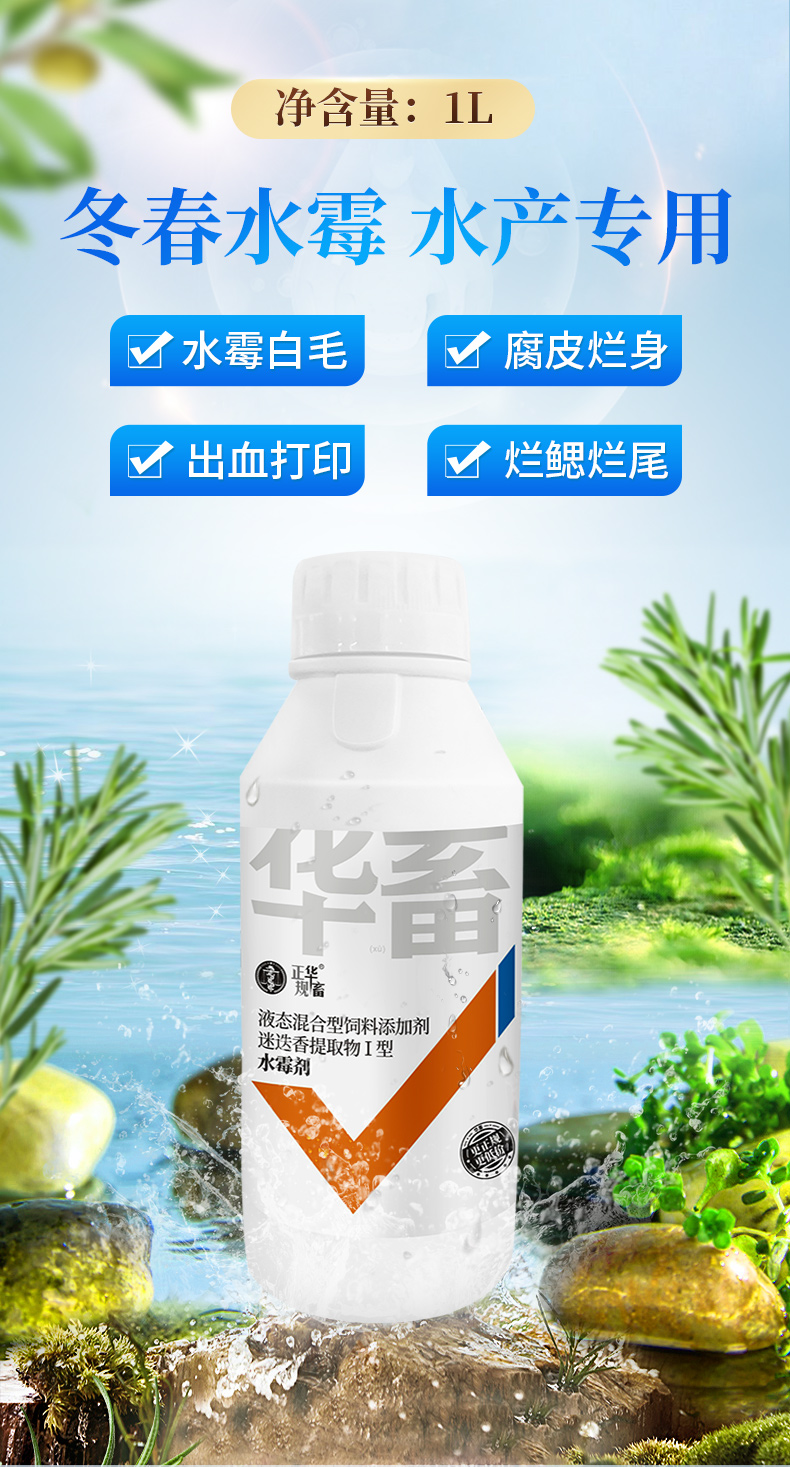 鱼塘消毒改良水质水霉净水霉净硫醚沙星水霉净水霉病专治鱼药鱼白毛