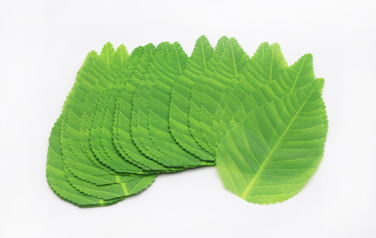 东茂 三本杉号一号寿司草冷菜盘点缀装饰寿司叶刺身日韩装饰绿叶 带