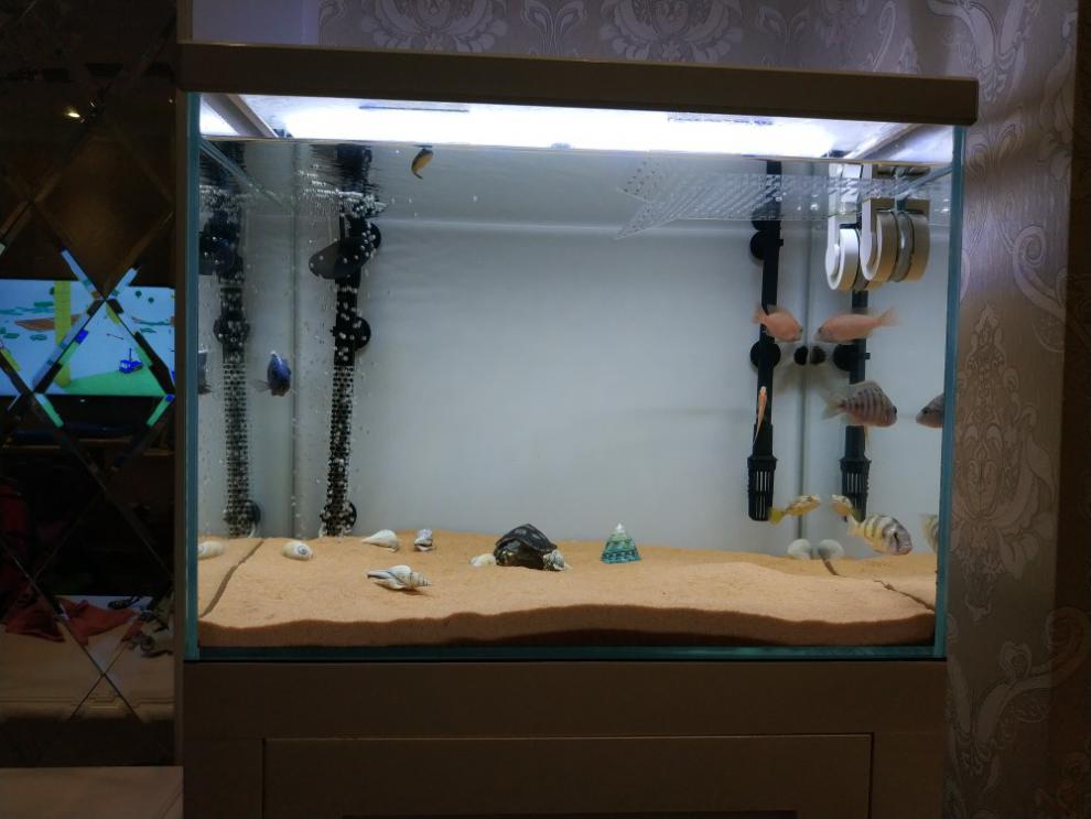 细沙黄金沙三湖南美缸鼠鱼底砂鱼缸造景底沙河沙黄色细沙化妆沙水草砂