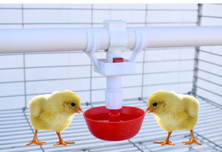 养鹅鸭子育雏自动饮水器乳头饮水器喂水鸡用养殖场禽用饮水碗配件鸭鹅