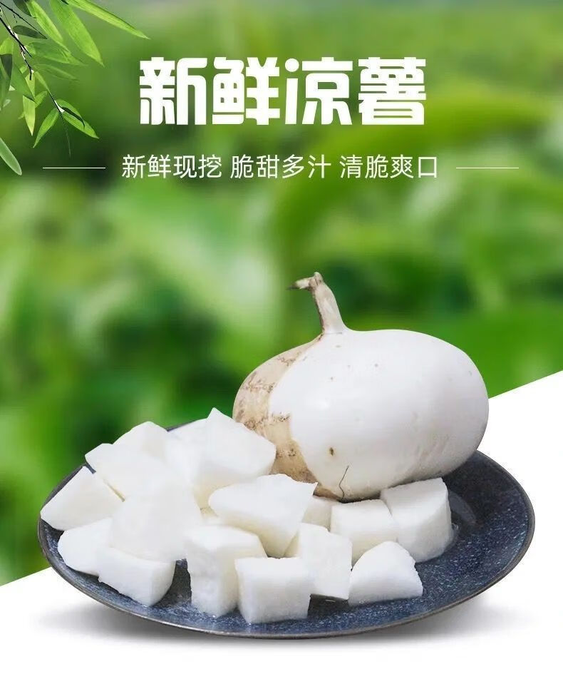 广西凉薯现挖新鲜水果农家自种土瓜甜脆5斤