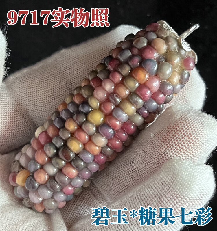 b541ad2fdf299a24.jpg