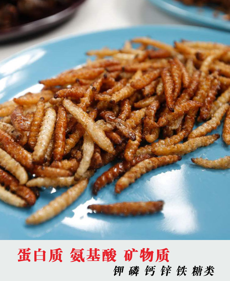 竹香虫云南傣族美食油炸竹香虫香酥竹蜂昆虫美味舌尖上的美味竹蛹