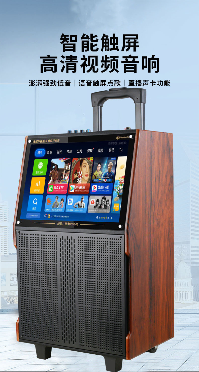 索尼(sony)通用广场舞音响带显示屏家用无线蓝牙视频k歌 户外演出大