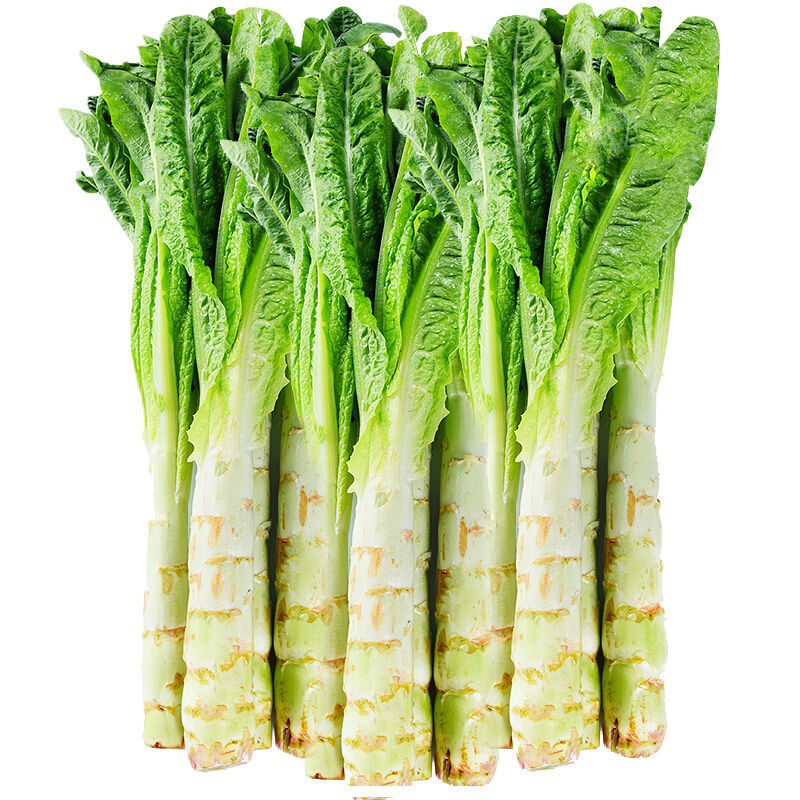 新鲜莴笋现红皮现摘莴苣青笋时令蔬菜青菜生菜现砍莴笋5斤精选装