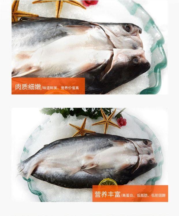 开背巴沙鱼整条新鲜清江冷冻骨湄公鱼烤鱼凌波鱼700900g12条