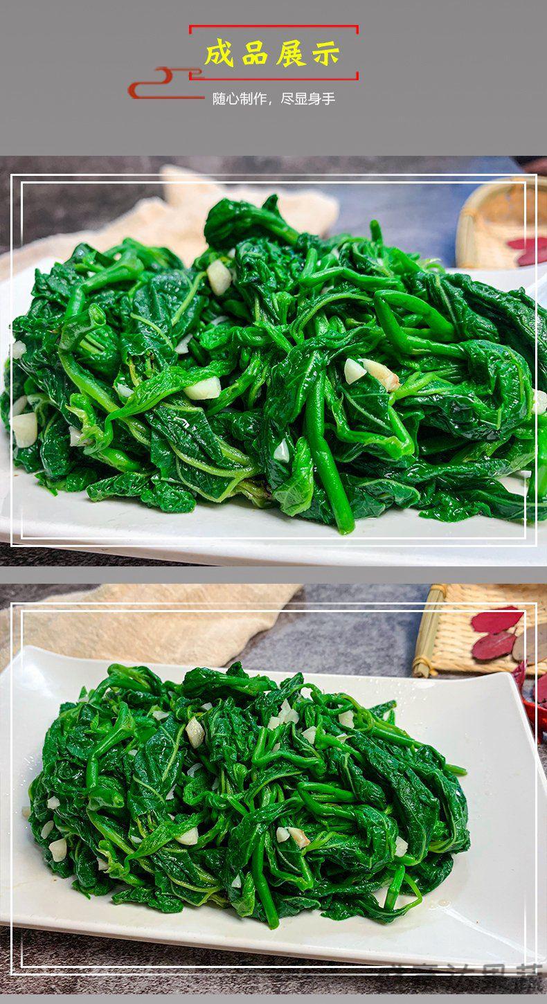 新鲜桑叶桑叶芽上汤桑叶菜新鲜食用嫩桑叶尖半成品特色冷冻1包250g