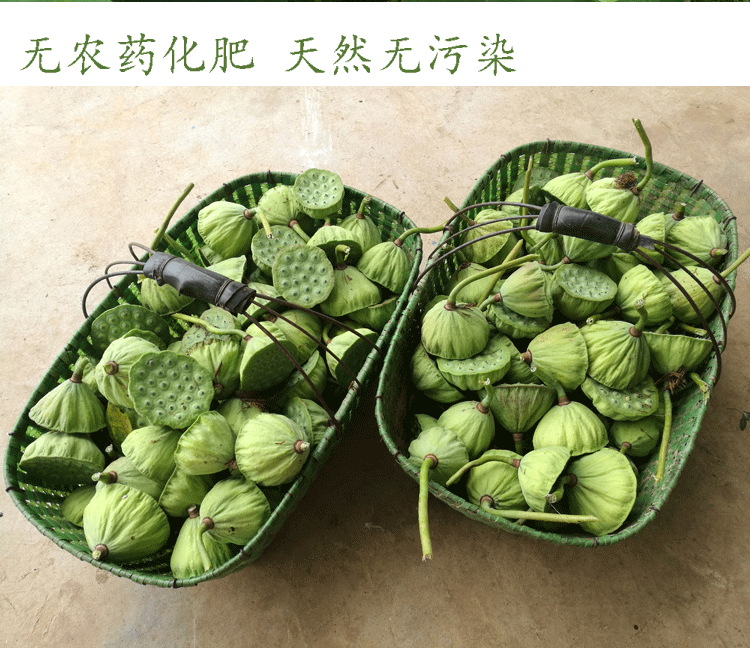 莲蓬新鲜水果当季整箱湘莲超洪湖甜嫩莲子米1500g