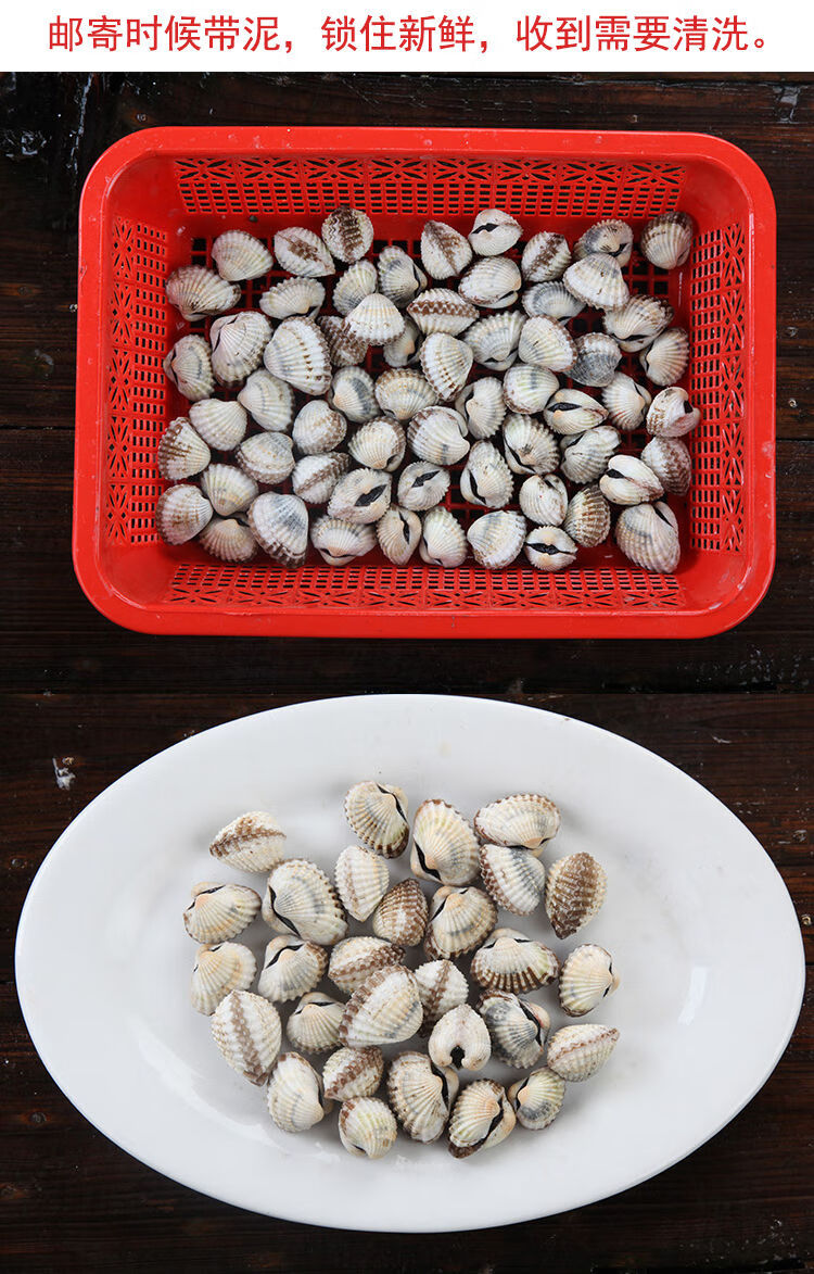 正宗潮汕鲜蛤新鲜大个血蚶泥蛤生腌制材料赤贝银蚶血蛤中号3斤约60颗