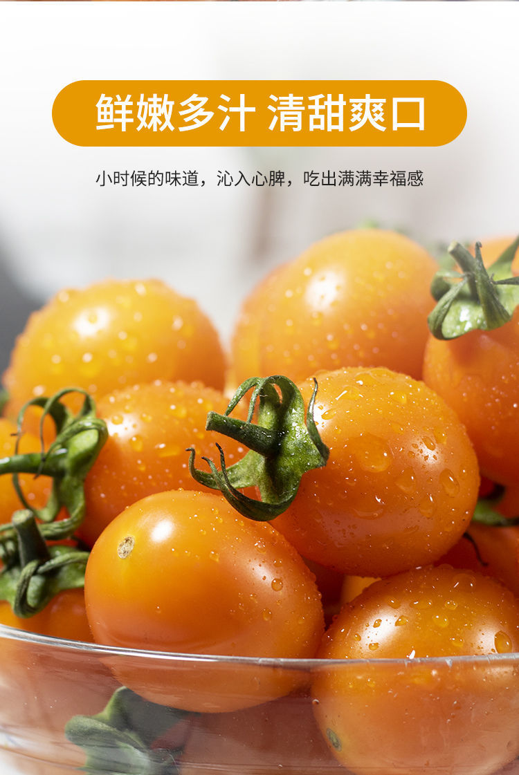 520礼物送女友现摘新鲜金玲珑珍珠黄金小番茄圣女果樱桃小西红柿水果