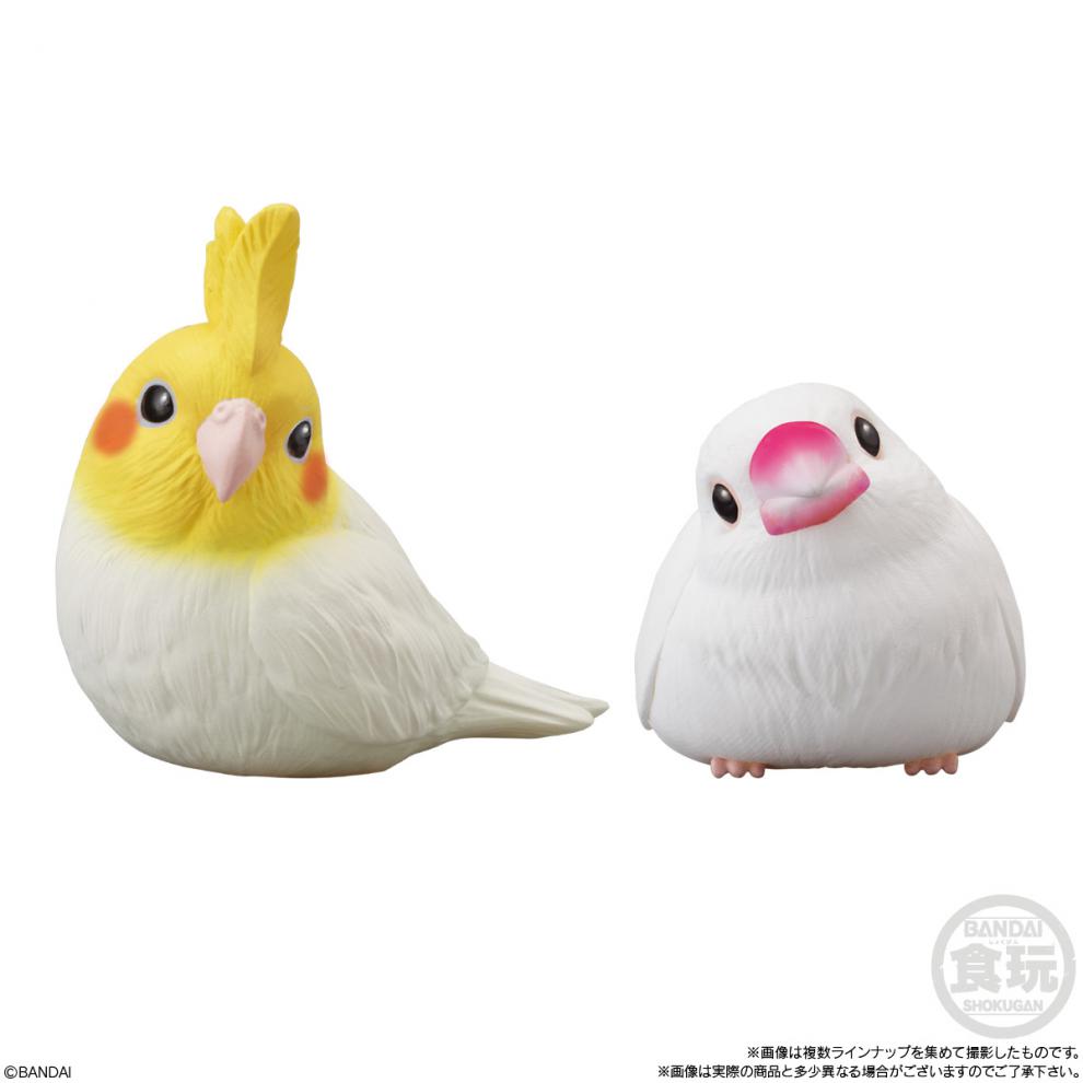 掌上小鸟盲盒 文鸟 鹦鹉 盒蛋 樱花文鸟模型 6蓝色小鸟 全新彩盒现货