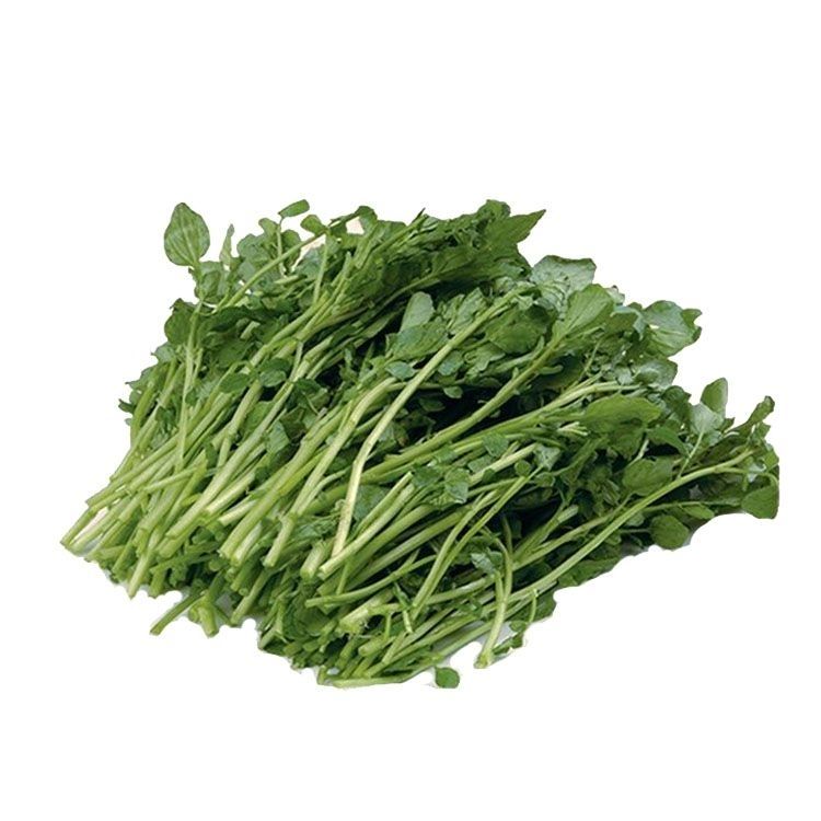 西洋菜贵州新鲜豆瓣菜水芹菜蔬菜基地直供绿色山泉水种植3斤西洋菜