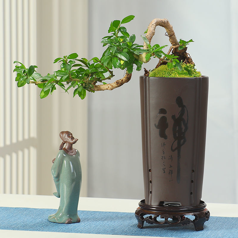 紫砂花盆陶瓷兰花专用盆中国风室内绿植君子兰吊兰文竹透气盆景盆紫砂