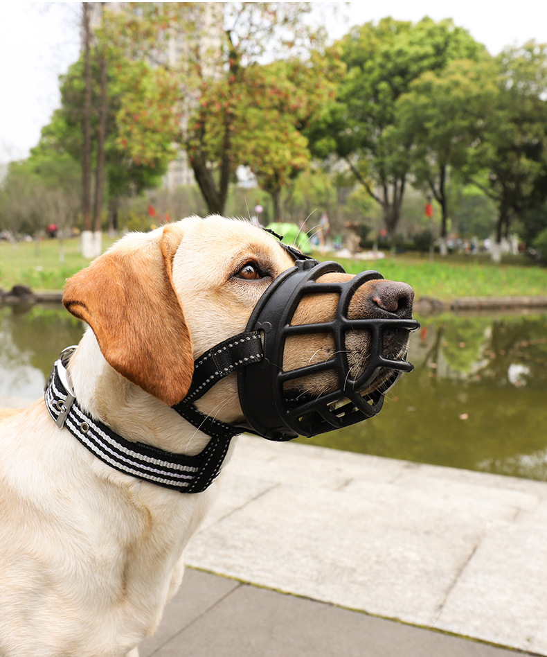 矢向硅胶中大型犬遛狗狗嘴套防咬叫口笼柯基宠物拉布拉多马犬金毛口罩