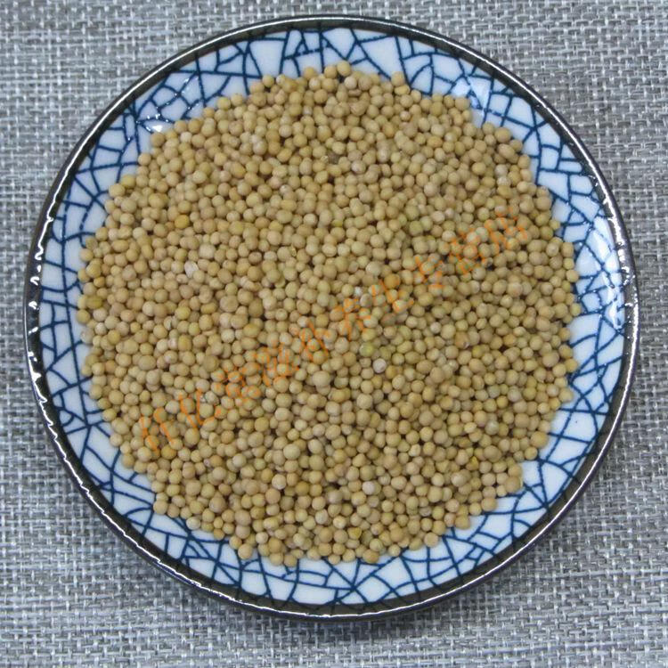 白芥子中药白芥子白芥籽新货白芥子500克
