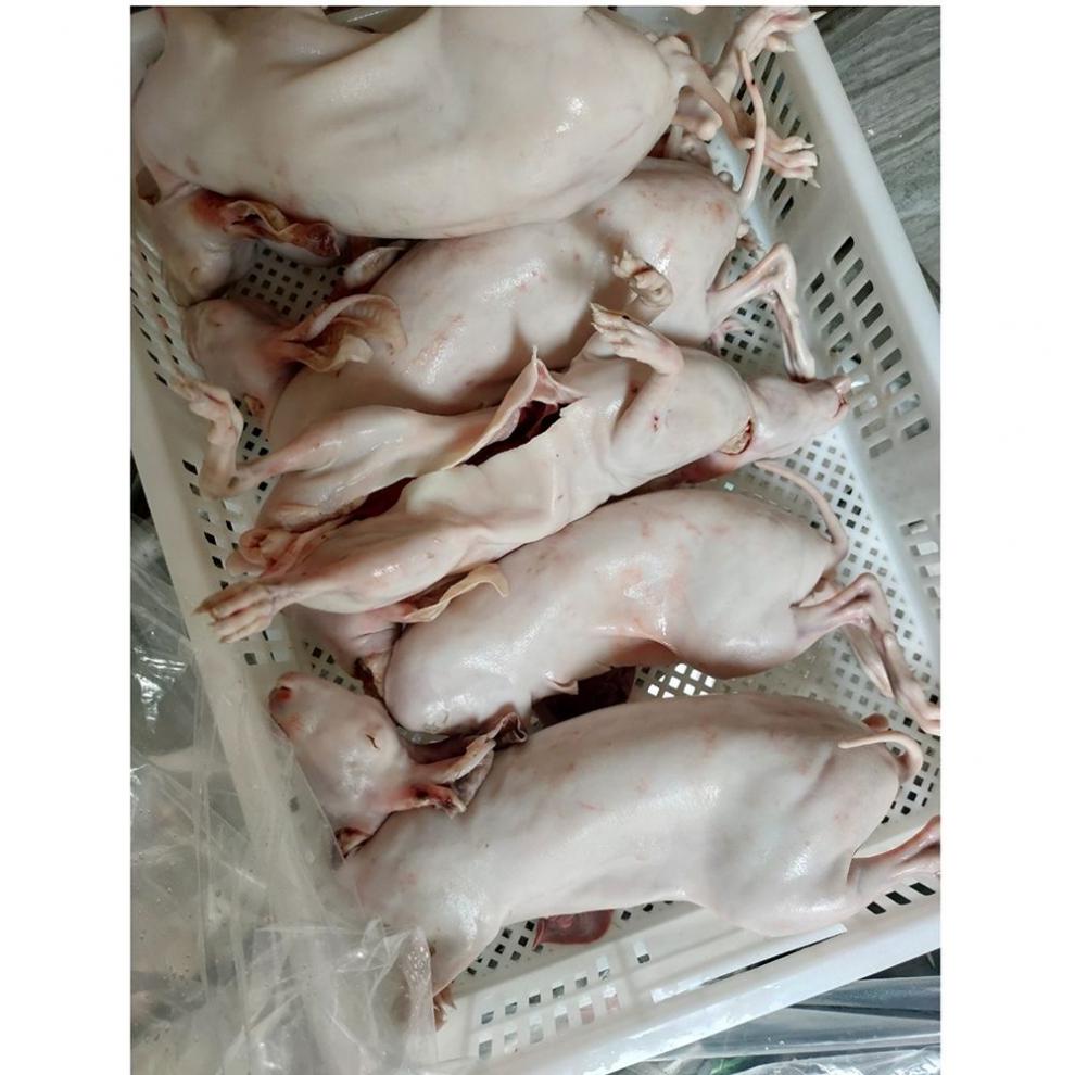 新鲜烫皮兔现杀带皮兔子肉活兔现杀整只冷冻烫皮整只净重3斤以上去皮