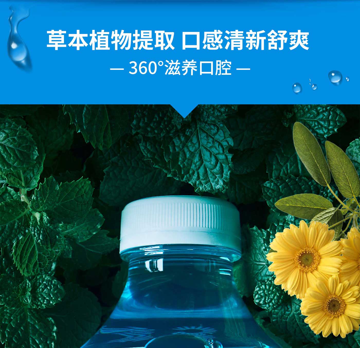 参半益生菌漱口水口腔护理防蛀修护0酒精温和清新口气深层清洁阳光