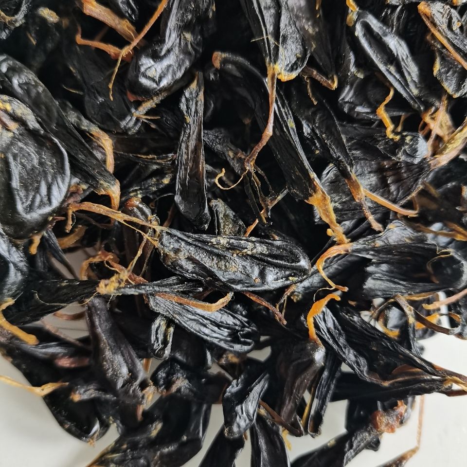 人工眼睛蛇胆中10粒装药材五步蛇胆干粒装武夷山蛇胆干正宗蛇胆100粒