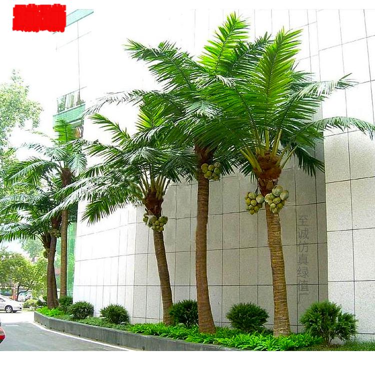 假绿植仿真椰子树大型人造景观树热带绿植装饰假椰树叶子户外假树棕榈