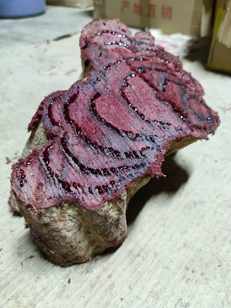 新鲜鸡血藤广西深山野生鸡血藤干货30年老藤中药材煲汤泡酒1000克特老