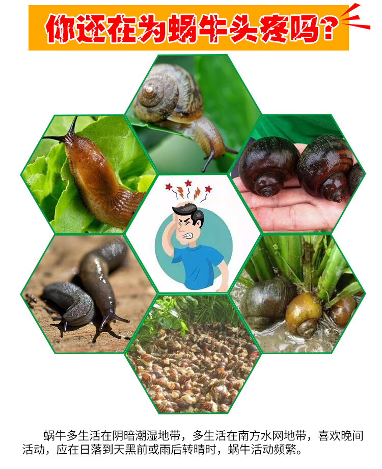 除蜗牛药鼻涕虫克星钉螺灭蜗牛专用螺丝药厨房菜地羊肚菌四聚乙醛25kg