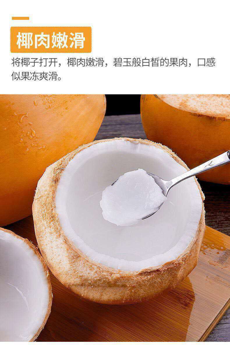 现摘现发海南金椰子三亚特产新鲜黄金红椰带皮配开椰器9个