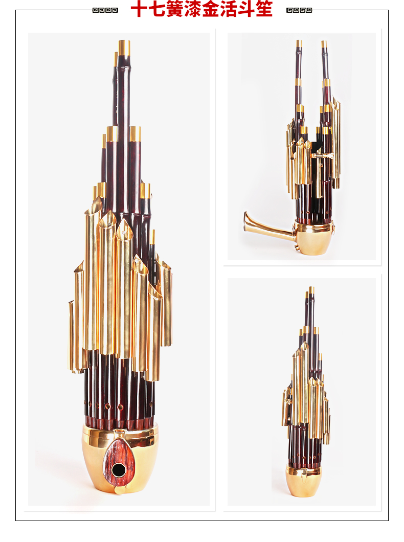 新艺17簧14簧扩音笙乐器大全圆笙方笙修笙工具竽乐器笙包初学者 【款