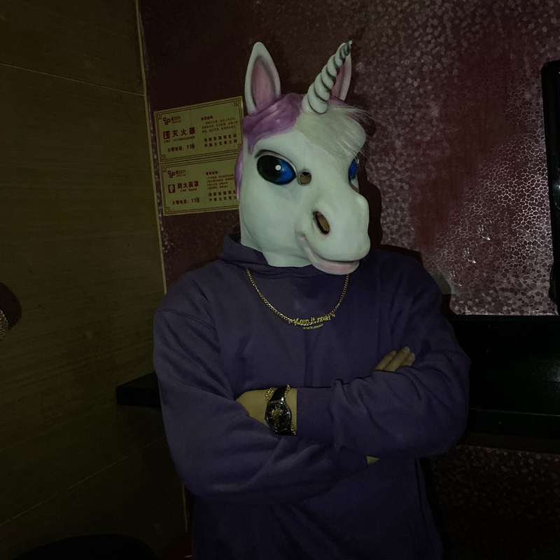 【官方直销】绿头鱼头套可爱哈士奇狗头套抖音搞怪动物搞笑表演道具全