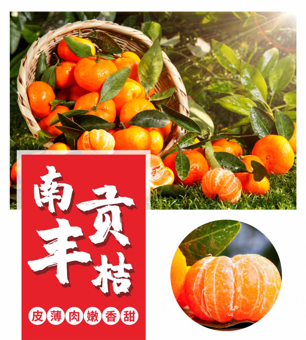 正宗江西南丰蜜桔10斤装橘子当季新鲜孕妇水果柑橘小