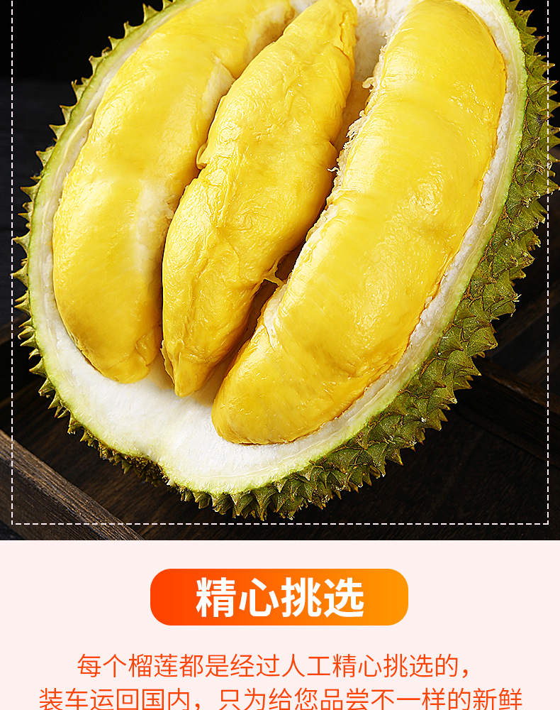 80adf525a55d555b.jpg