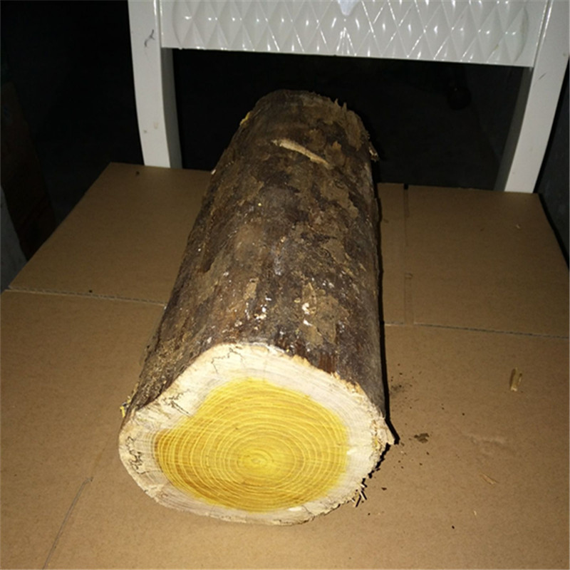 北方柘木木料木刺手串佛珠把件笔筒弹弓料收藏老料 新鲜料5斤左右