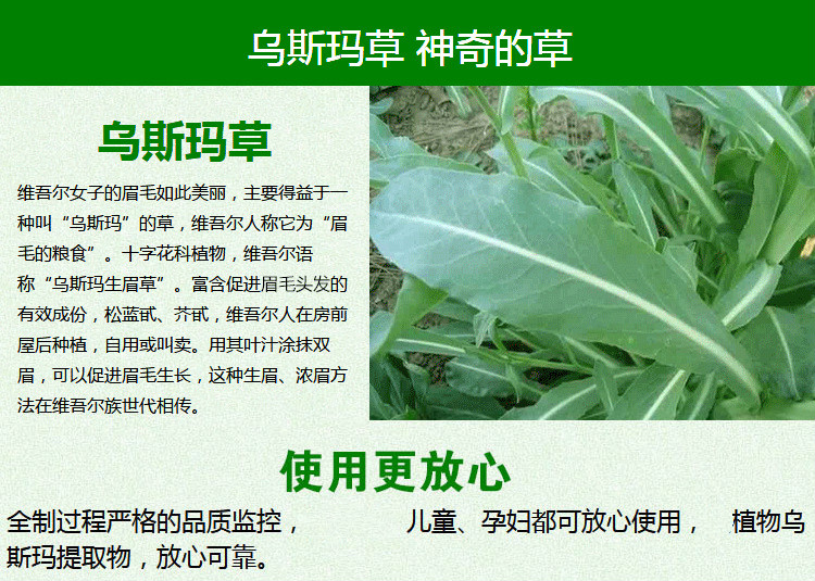 乌斯玛草粉新疆乌斯曼眉毛浓眉发际线鬓角乌斯曼新疆奥斯曼粉生眉粉