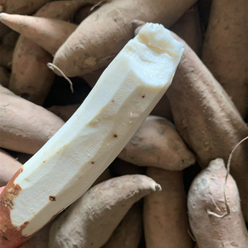 5zhe山东白心哈密冰糖薯新鲜白心蜜薯糖心红薯农家自种沙地番薯地瓜 5