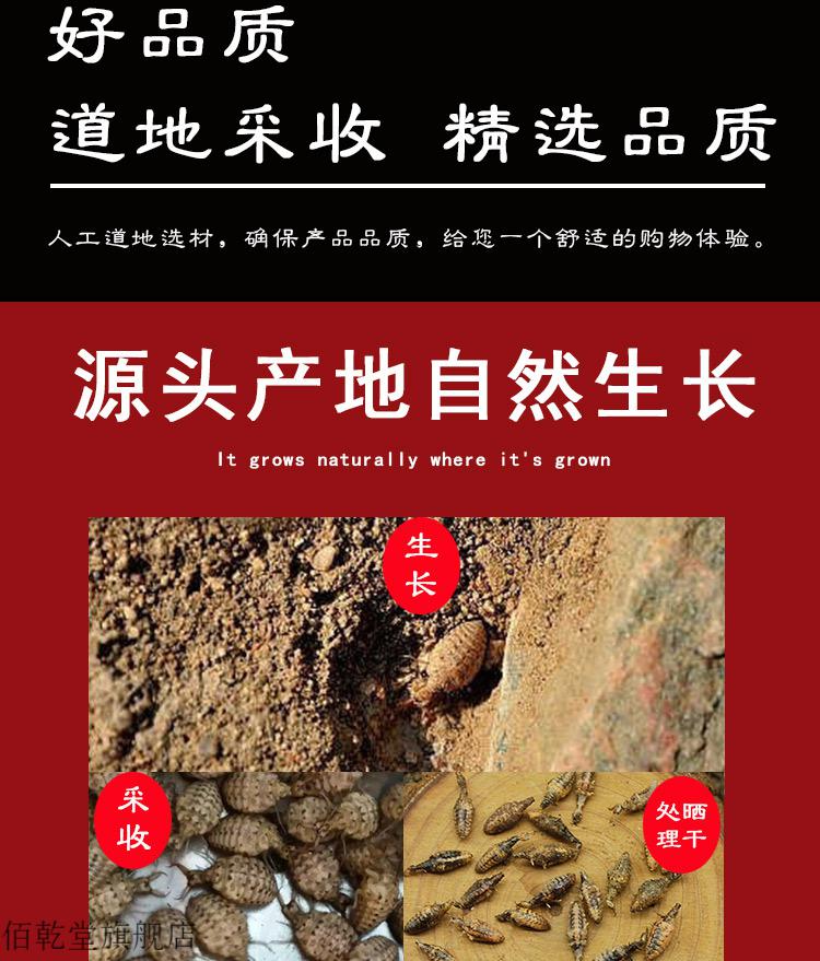 佰乾堂中药材野生金沙牛10g新货金砂牛倒行狗睡虫蚁狮无杂质地牯牛