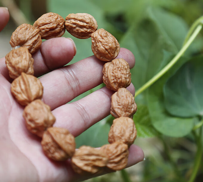 妙聚福野生小金蟾小蛤蟆头手串小核桃手串矮桩小算珠手串土豪版18mm