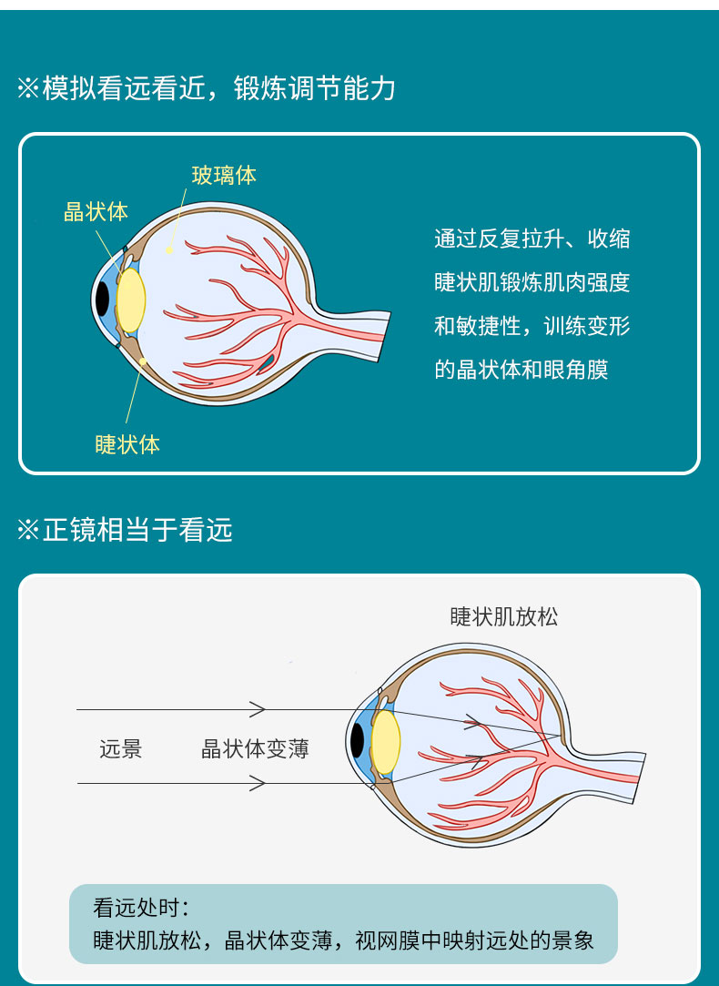 拍視力訓練卡兒童眼睛弱視調節儀自動器翻轉拍蝴蝶鏡眼科050d正負50度