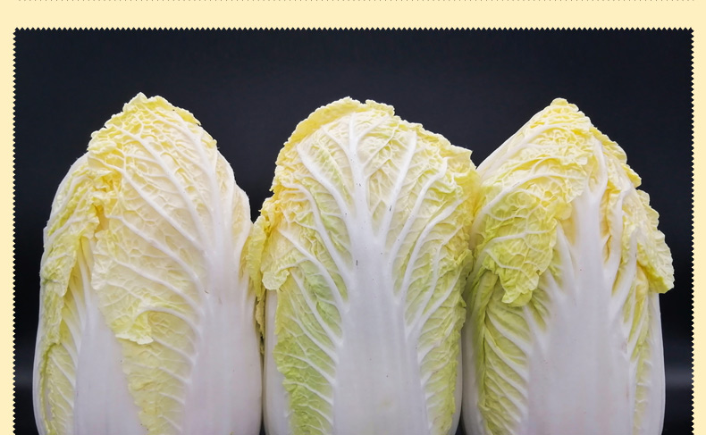 云南娃娃菜新鲜白菜时令蔬菜农家自种露天黄心白菜整2500g