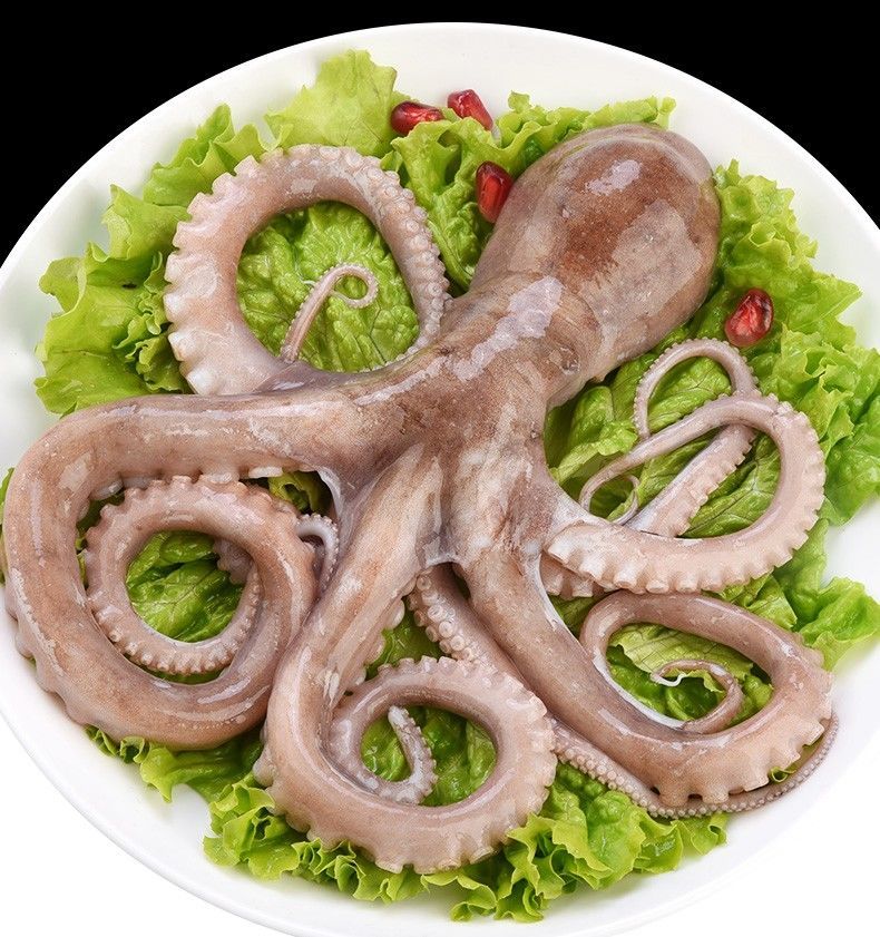 【爆头八爪鱼】新鲜冷冻八爪鱼八带鱼章鱼长腿八爪鱼 小号长腿八爪鱼