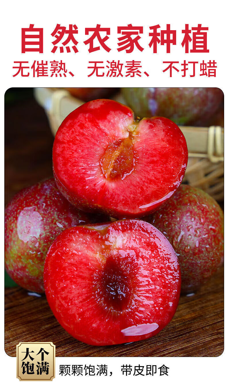 【现货】李子钱排红心三华李新鲜应季水果批发孕妇酸甜脆骨 1个小果