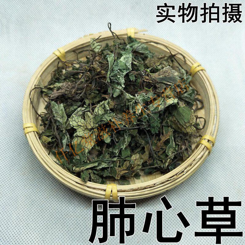 白侧耳草药图片图片