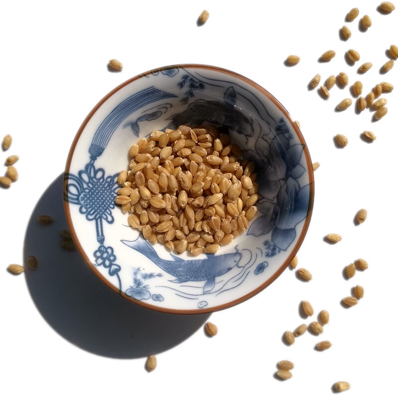2斤富硒小麦粒带皮麦子煮粥磨面5农家自产麦酱小麦苗麦芽糖种子 高筋
